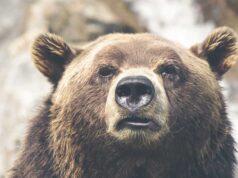 Spring Accessory With Personality